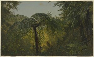 Tegning, Tropisk landskab, juni eller juli 1865 af Frederic Edwin Church