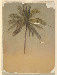 Tegning, Stamme og top af et palmetræ, 1865 af Frederic Edwin Church