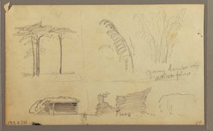 Tegning, Udsigt over østbredden af Guayas-floden, overfor Guayaquil, Ecuador, maj 1857 af Frederic Edwin Church