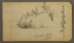 Tegning, Skovbred, træstudie, 1878 af Frederic Edwin Church