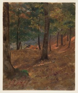 Tegning, skovbillede, 1870-80 af Frederic Edwin Church