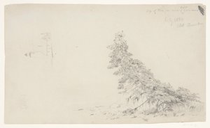 Stedsegrønt træ nær kysten med en detalje af fyrtårnet og et hus, Mount Desert, Maine af Frederic Edwin Church