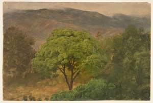 Genip-træ i bjergene, Jamaica af Frederic Edwin Church