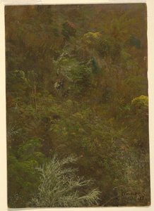 Bakkeskråning med træer, Jamaica af Frederic Edwin Church
