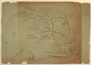 Landskab med træer og en strøm [?], Grand Manan Island, Canada af Frederic Edwin Church