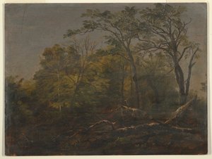 Maine Woods af Frederic Edwin Church