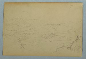 Skitser af planter og af en del af balustraden, der grænser op til terrassen på kroen i Guaranda, Ecuador af Frederic Edwin Church