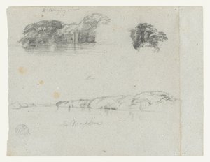 Skitser af træer, vinstokke og en bred af Rio Magdalena, Columbia af Frederic Edwin Church