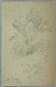 Studier af træer og grene, Jamaica af Frederic Edwin Church