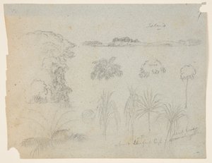 Studer med trætoppe, træer, fem design af planter og en fjern ø af Frederic Edwin Church