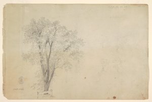 Træer af Frederic Edwin Church