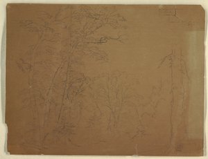 Træer, Grand Manan Island, Canada af Frederic Edwin Church