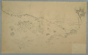 Skovklædt Vale med en stor bregne og fjerne bjergkæder, Jamaica af Frederic Edwin Church