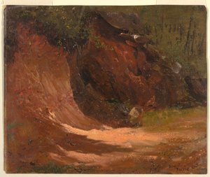 Woodland Bank, Jamaica af Frederic Edwin Church