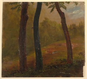 Woodland Scene, Jamaica af Frederic Edwin Church