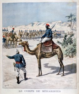 Meharist-legeme, 1894