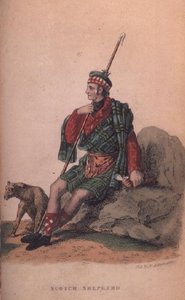 Scotch Shepherd fra Ackermanns World i miniature