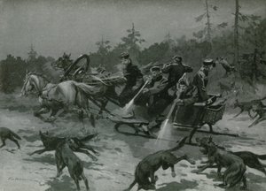 En ulvejagt af Frederic de Haenen