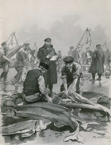 Får Caviare i Astrakhan af Frederic de Haenen