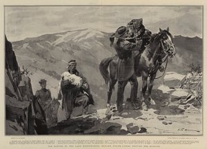 Lady Missionærernes løsesum, Madame Tsilka-Ligord møder sin mand