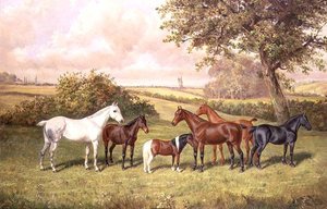 En gruppe ponyer af Frederick Albert Clark