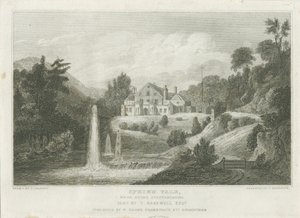 Sten - Spring Vale: gravering, nd [c 1830] (tryk) af Frederick Calvert