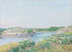 Den lille dam, Appledore, 1890.