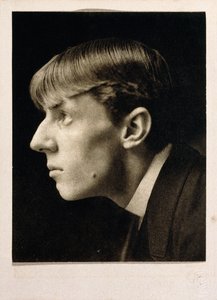 Aubrey Beardsley af Frederick Henry Evans