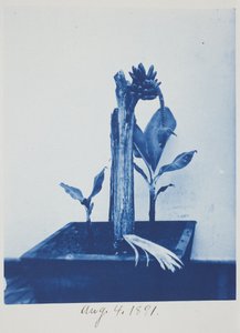 Uden titel, 4. august