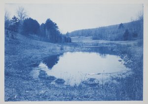 Uden titel, slutningen af det 19.-begyndelsen af det 20. århundrede (cyanotype på cremevævet papir)