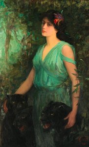 Den sorte orkidé, 1907.