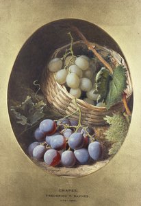 Røde og hvide druer af Frederick Thomas Baynes