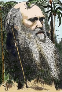 Charles DARWIN (1809-1882) karikatur af F. Waddy i "" in Once A Week" fra 1873.