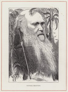 Charles Darwin, Naturlig Udvælgelse