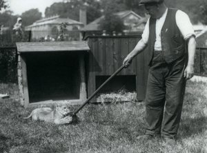 En løveunge leger med en moppe, holdt af sin vogter, på græsset foran sin hule, London Zoo, september 1925 af Frederick William Bond