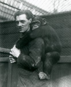 En mand bærer chimpansen Sally på ryggen, London Zoo, 1924 af Frederick William Bond