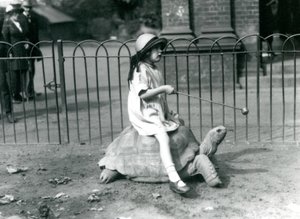 En lille pige, Betty, rækker en pind frem med et æble for enden for at føre den kæmpeskildpadde, hun rider på, London Zoo, 1924 af Frederick William Bond