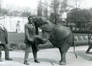 En ung afrikansk pygmæelefant står på bagbenene for at omfavne sin afrikanske træner, mens målmanden ser på, London Zoo, juli 1925 af Frederick William Bond