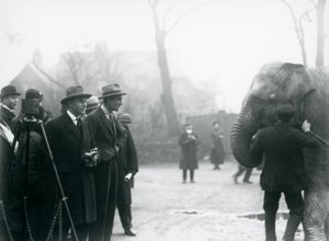 En indisk elefant, muligvis Sundermalah, der deltager i en ekstern udsendelse fra London Zoo, 1925 af Frederick William Bond