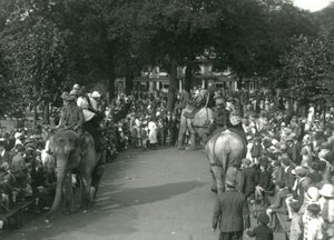 Elephant Rides, med tre asiatiske elefanter set af skarer af tilskuere i London Zoo i august 1926 (s/h foto) af Frederick William Bond