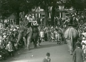 Elephant Rides, med to asiatiske elefanter set af skarer af tilskuere i London Zoo i august 1926 (s/h foto) af Frederick William Bond