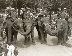 Elefantridning i London Zoo, juli 1936 af Frederick William Bond