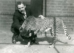 Keeper Charles Dixon med en legende gepard i London Zoo, oktober 1922 af Frederick William Bond