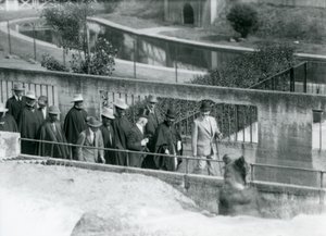 Sir Peter Chalmers Mitchell, med den etiopiske regent Haile Selassie og hans følge, ser en brun bjørn på Mappin Terraces, London Zoo, 1924 af Frederick William Bond