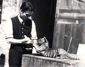 Tigerunge bliver fodret af målmanden Harry Warwick, 1914 af Frederick William Bond