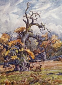 Packington Park af Frederick William Newton Whitehead