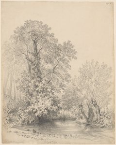 Træer ved floden ved Castle Bromwich af Frederick William Watts