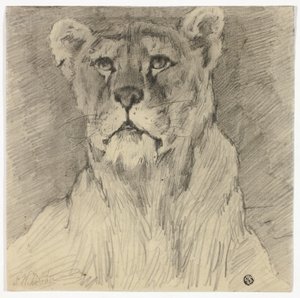 Frontbillede af siddende løvinde af Frederik William Zurcher