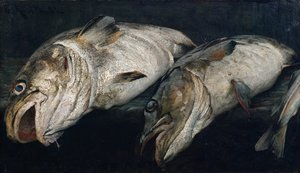 Torsk af Fredrik Kolstoe