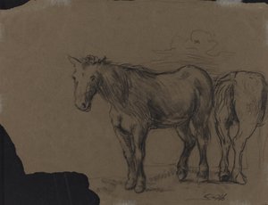Heste af French 19th Century
